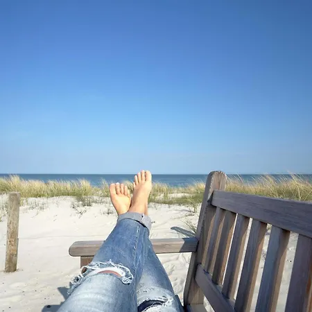 Gaensebluemchen Im Herzen Der Halbinsel Fischland-darss-zingst *