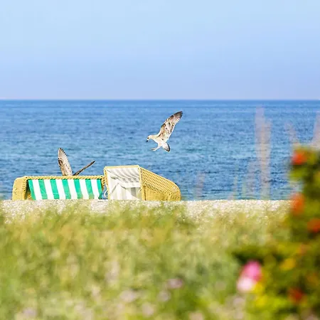 Apartment Gaensebluemchen Im Herzen Der Halbinsel Fischland-darss-zingst