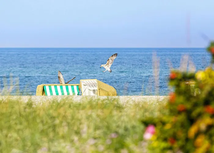 Appartement Gaensebluemchen Im Herzen Der Halbinsel Fischland-darss-zingst