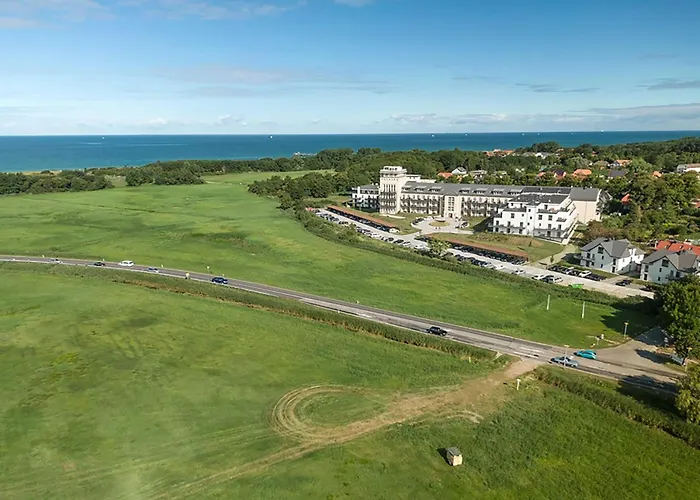 Gaensebluemchen Im Herzen Der Halbinsel Fischland-darss-zingst *