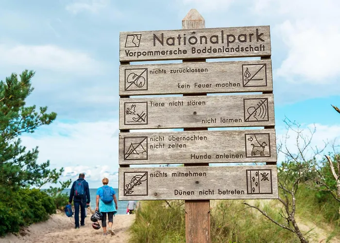 Appartement Gaensebluemchen Im Herzen Der Halbinsel Fischland-darss-zingst